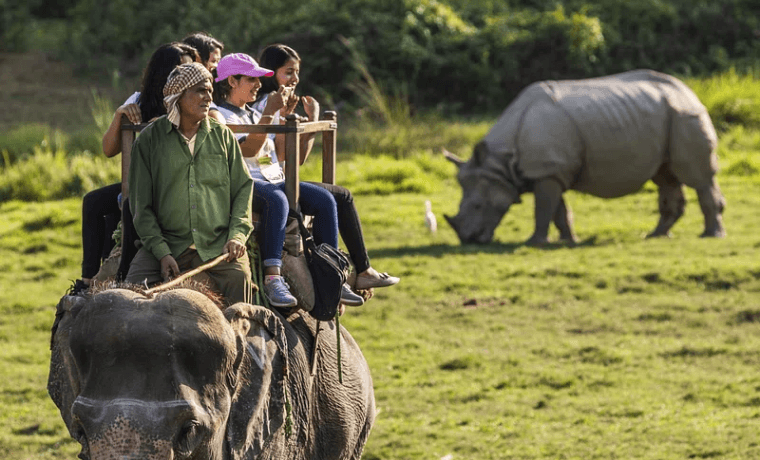 Wildlife adventure in Northeast India
