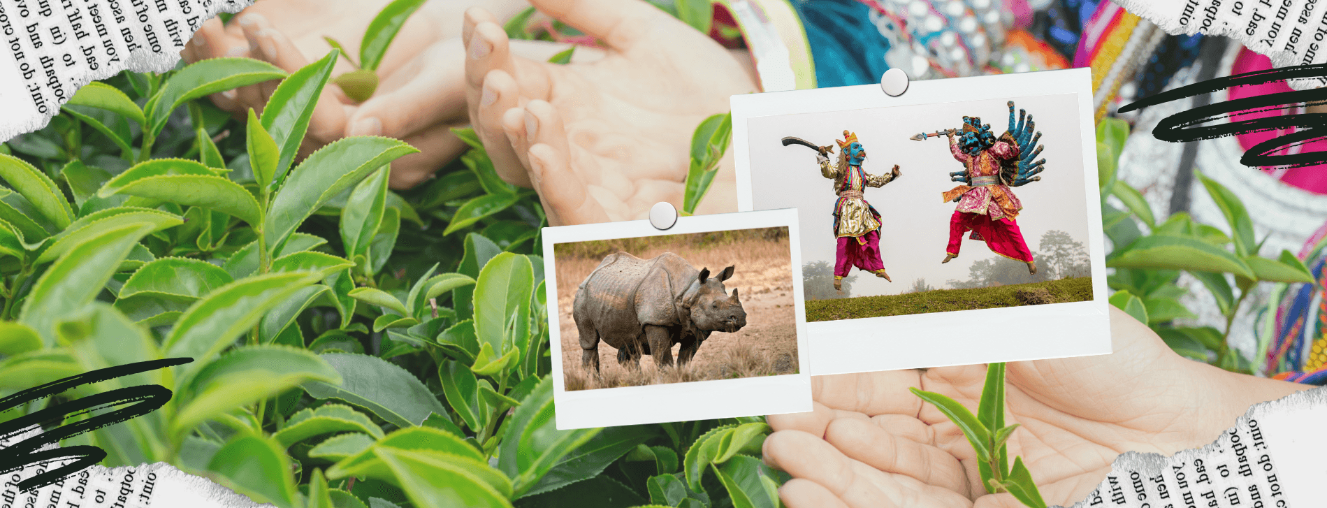 Assam Wildlife Safaris & Cultural Tours